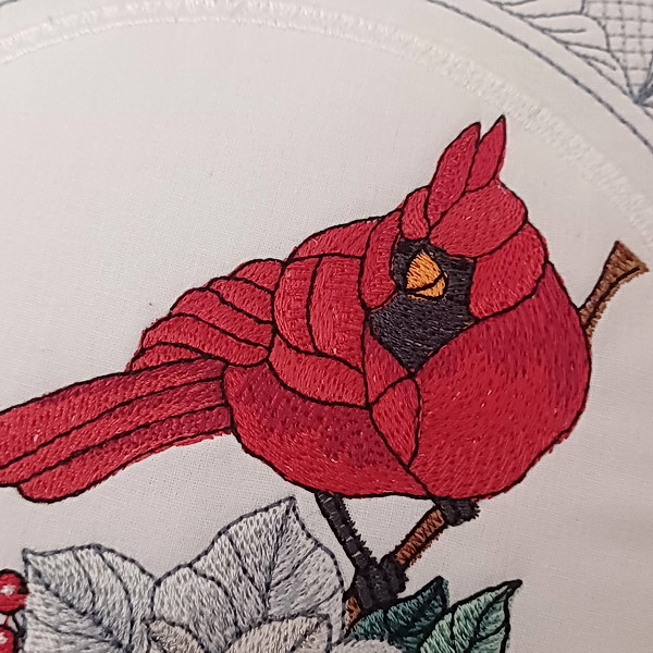 Winter Cardinal with White Poinsettia-9