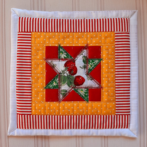 ITH Quilted Star Potholders-7