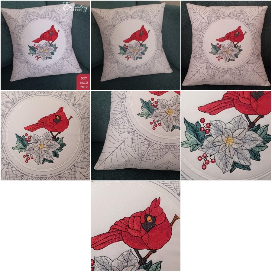 Winter Cardinal with White Poinsettia