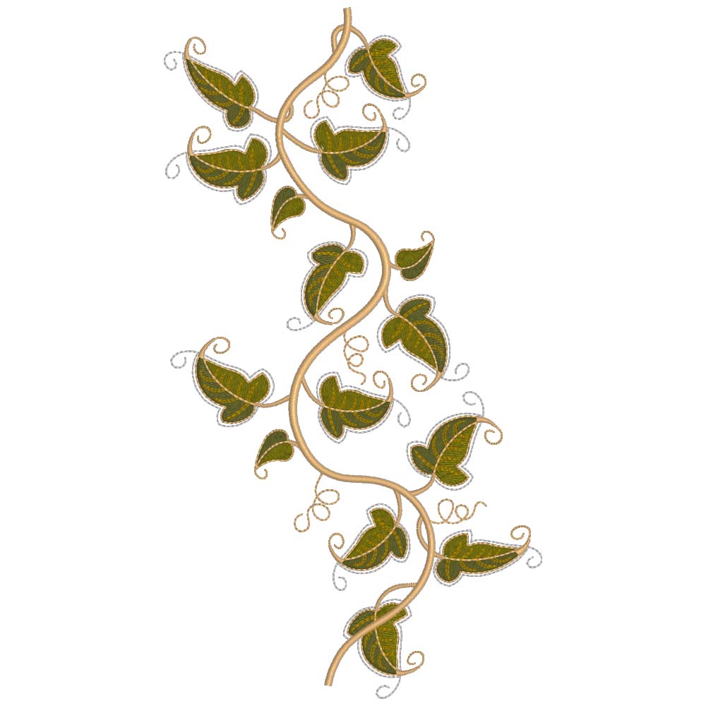 Graceful Ivy Value Collection-81