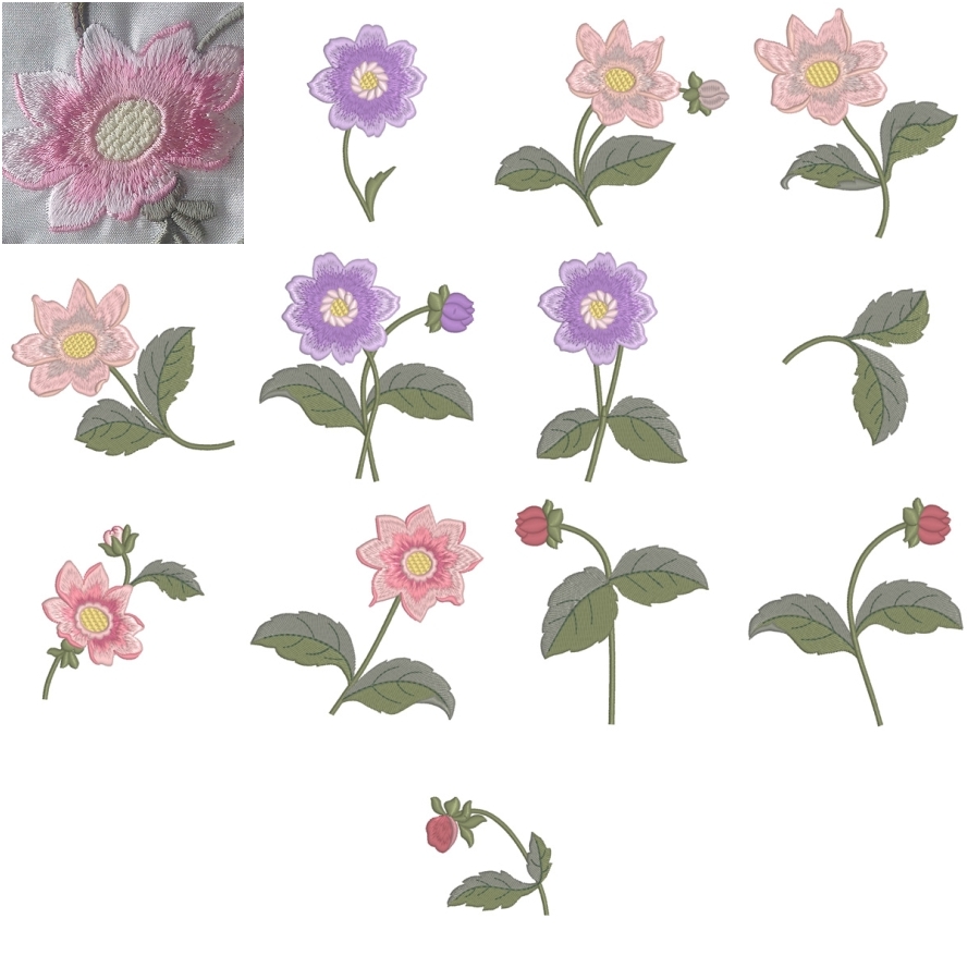 In my Graceful Garden 1