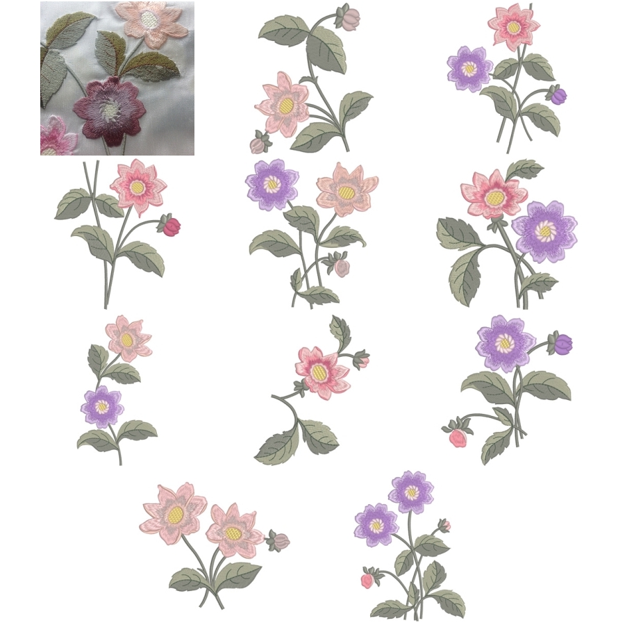 In my Graceful Garden 2