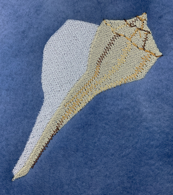 sea shell 1