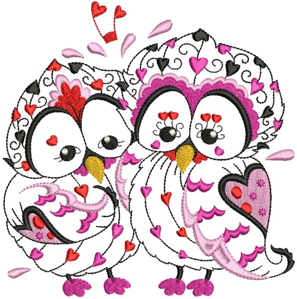 Owls in Love -3