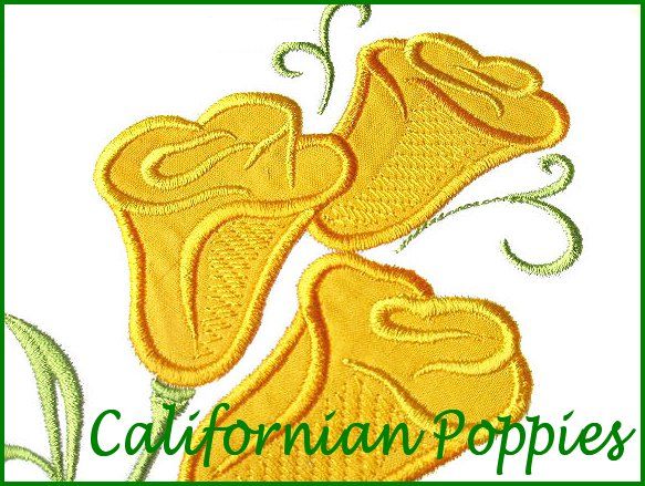 Californian Poppies -3