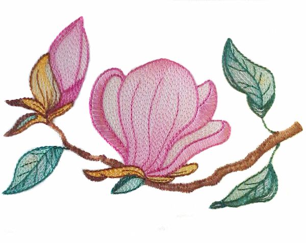Magnolias In My Garden -4