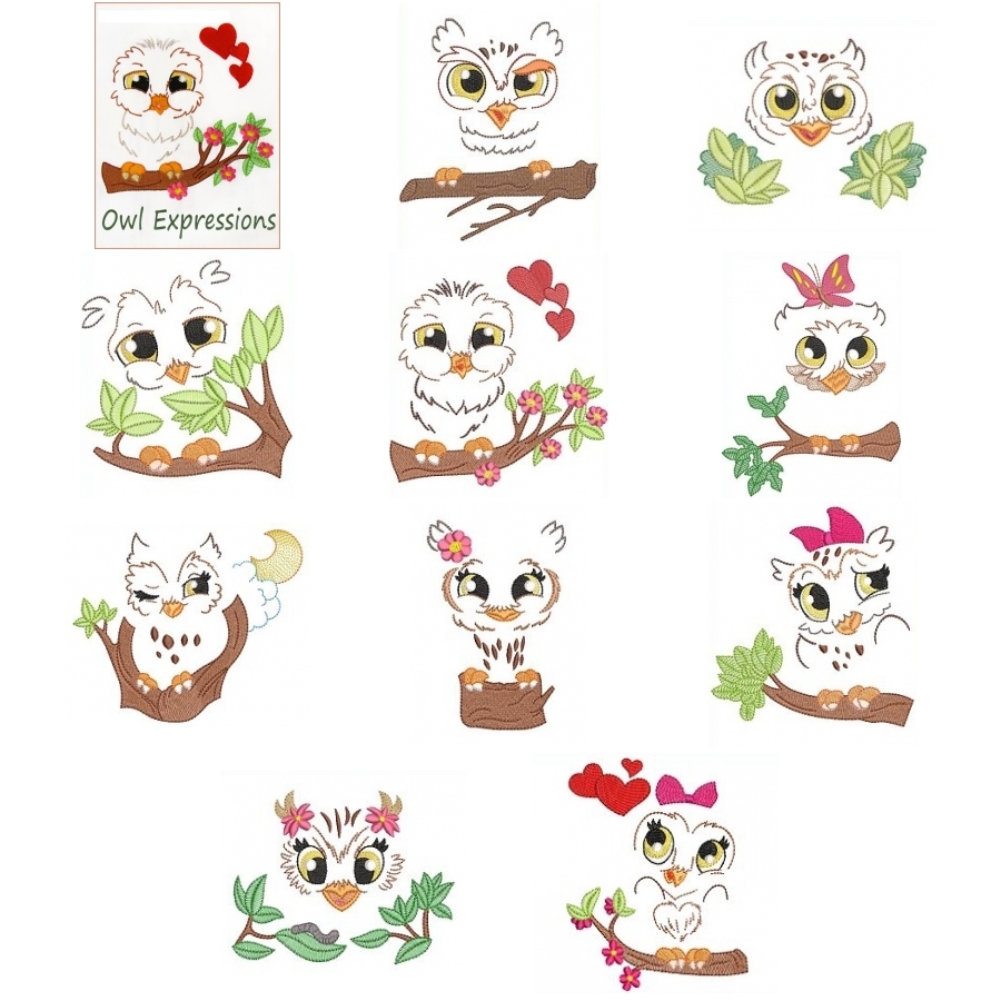 Owl Expressions