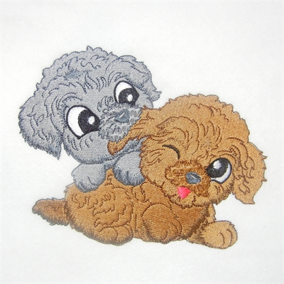 Baby Poodles -4