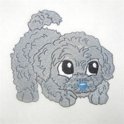 Baby Poodles -5