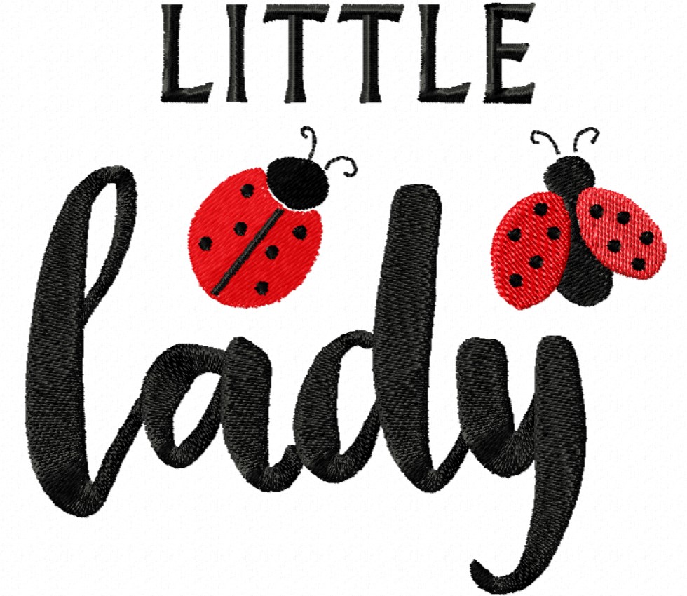 Little Ladybug