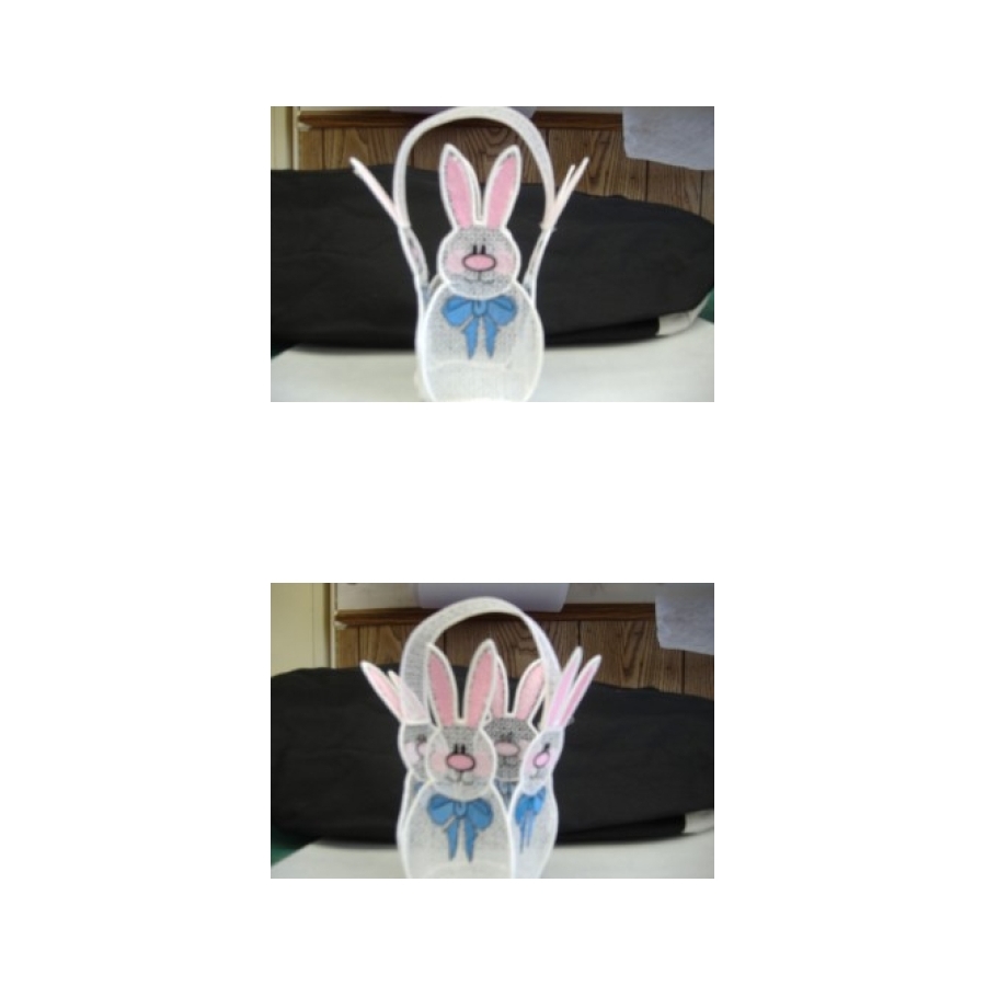FSL Bunny Basket