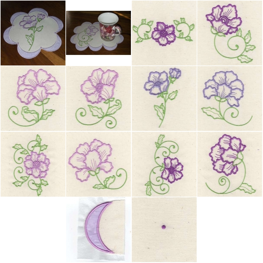 Blooms 