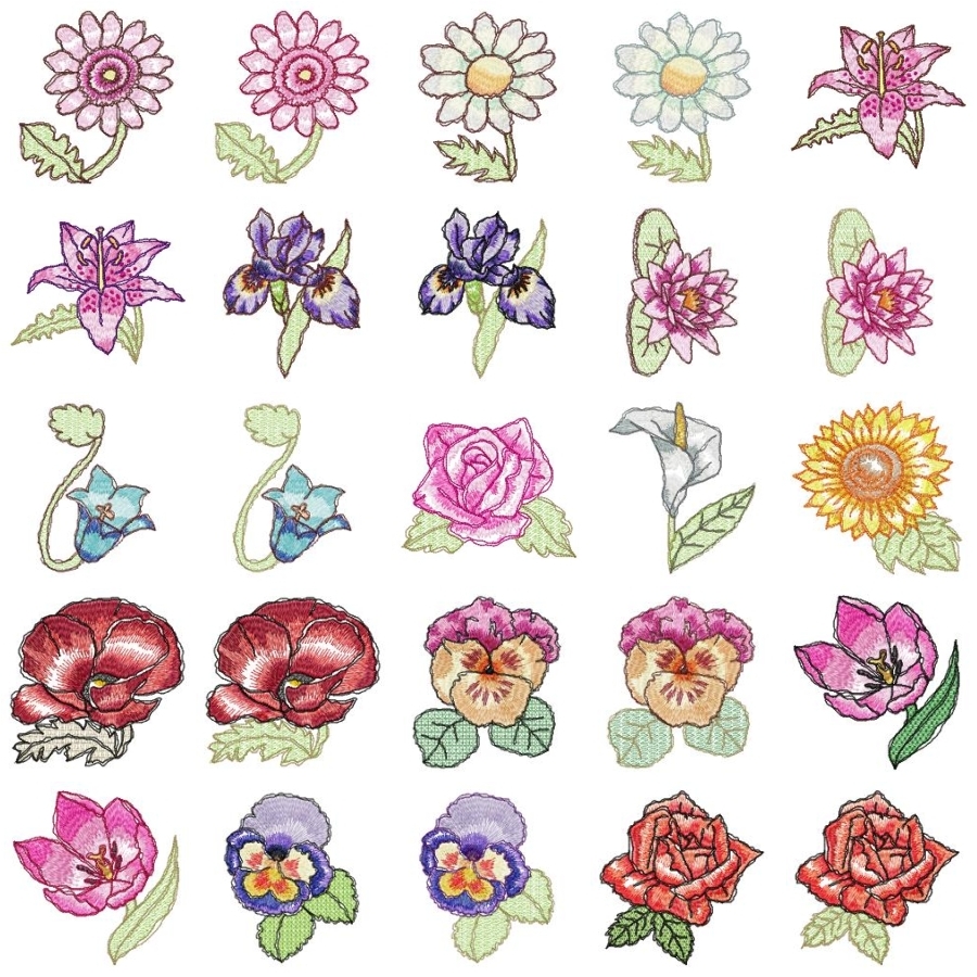 Coloured In - Sketched Flowers 