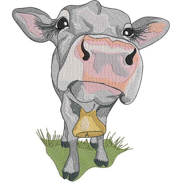 Cow Up Close