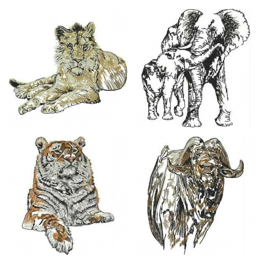 Sketched Animals 