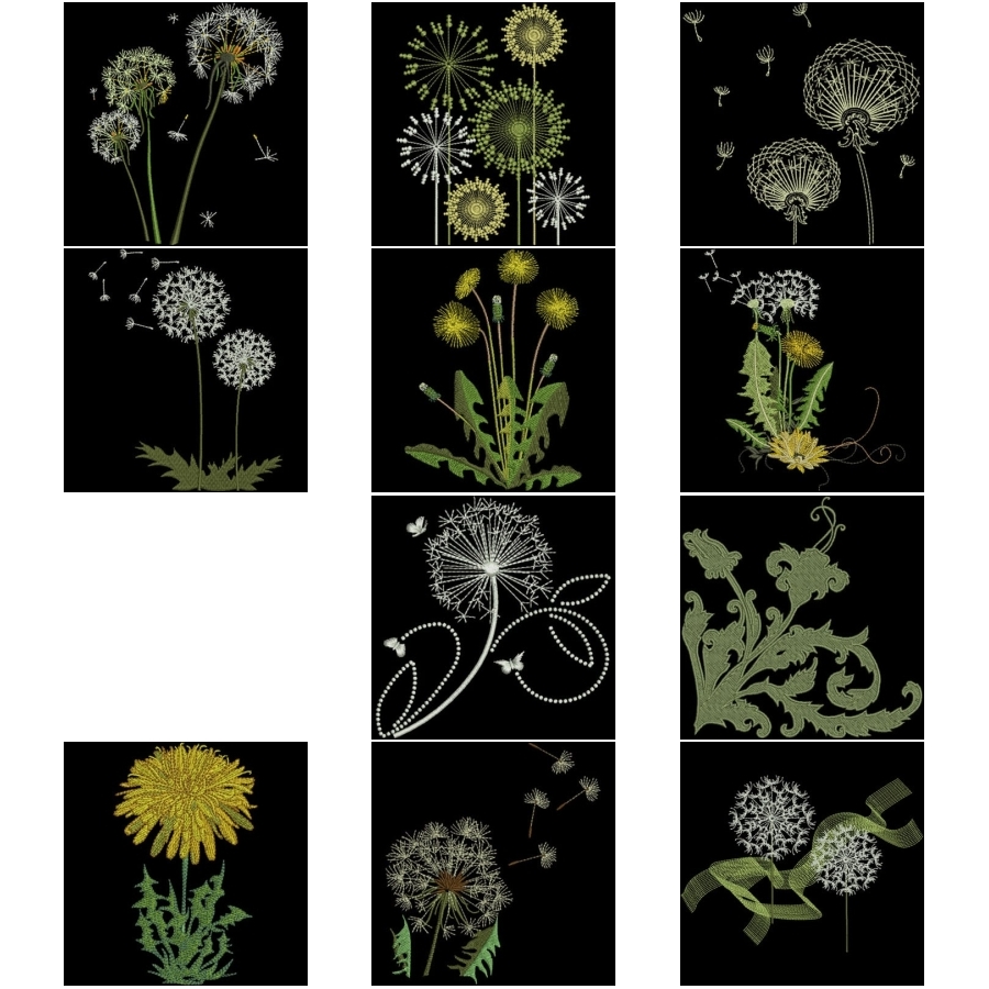 Dandelions For Summer 