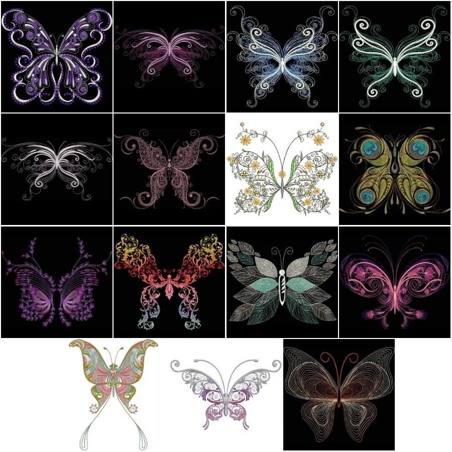 The Beauty Of Butterflies 