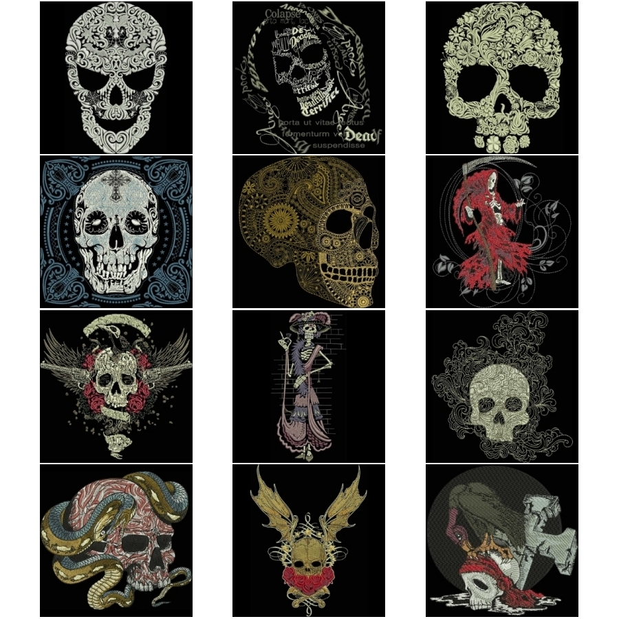 Bones And Beyond 