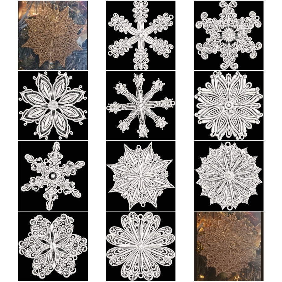 Winters Dream FSL