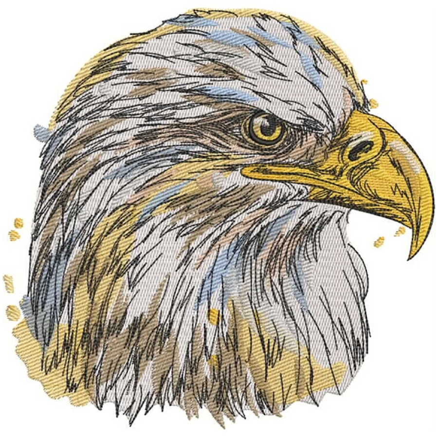 Painted Eagle