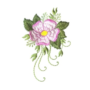 Pattistudio, flower, wild rose