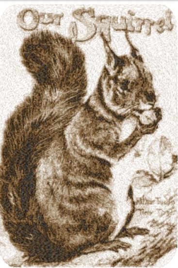 red moon gardens  photo stitch, squirrel