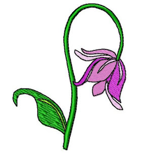 Provided By Emerald Originals