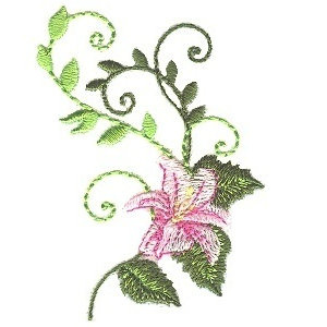 Provided By PattiStudio