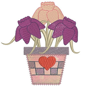 Meriande, tulips in pot