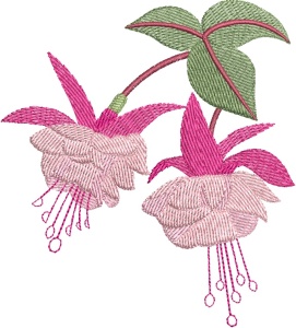 Aljay Designs beautiful fuchsias