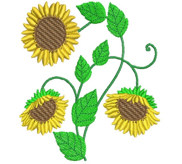 Sunflowers-5