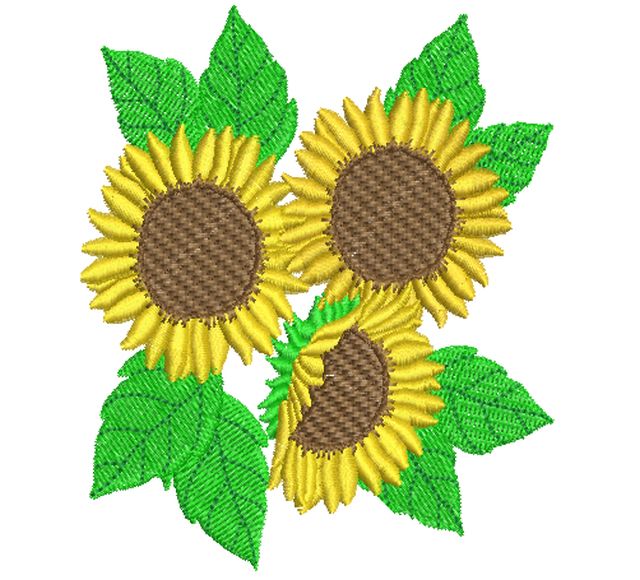 Sunflowers-11