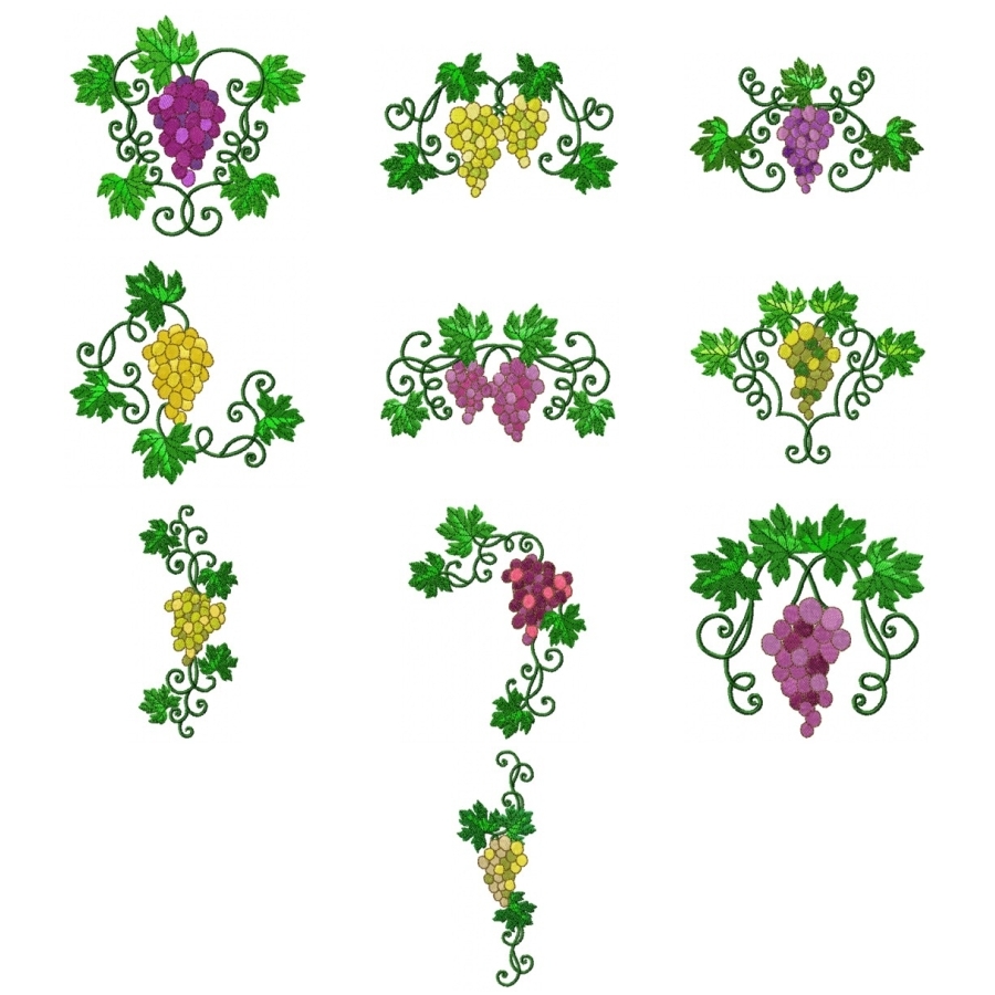 Colourful Grapes