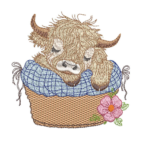 Baby Highland Calves Set-7