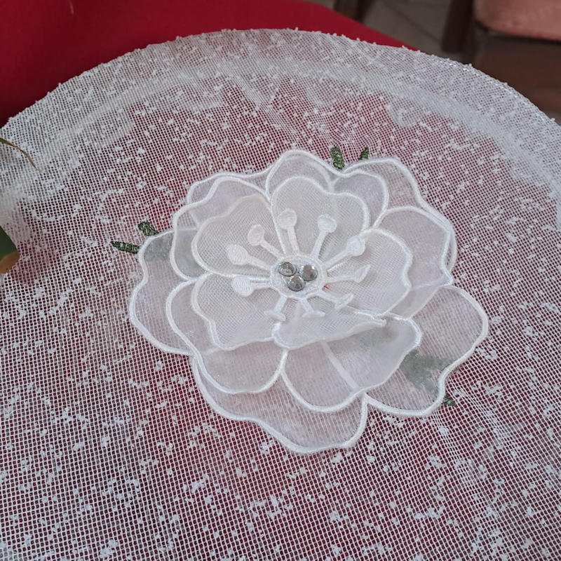 3D Daisy-4