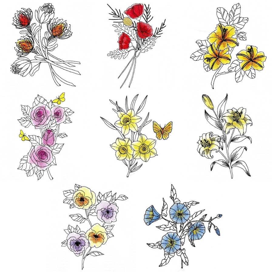 A Splash of Colour