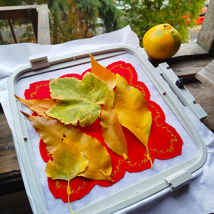 ITH Fallen Blossom On Felt Hanger