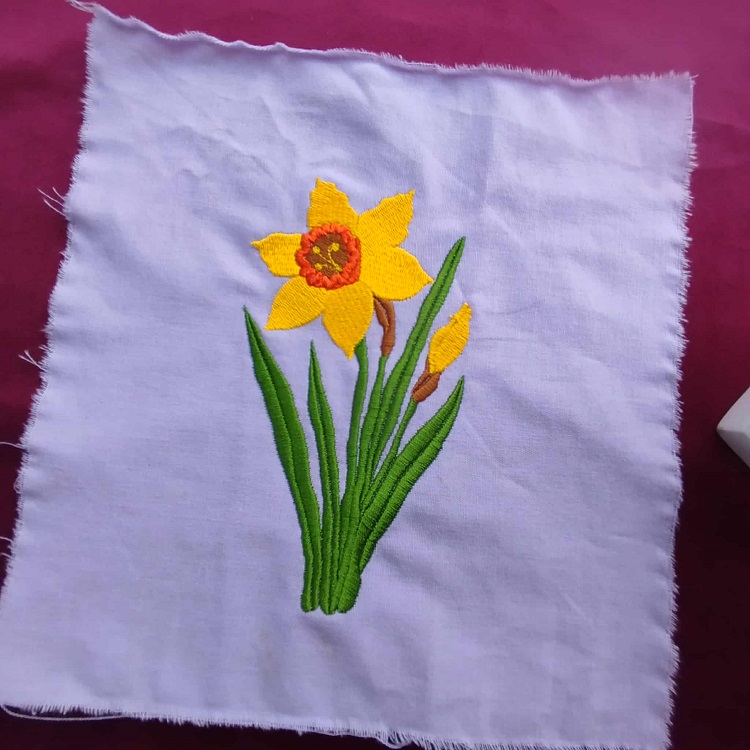 DAFFS-6