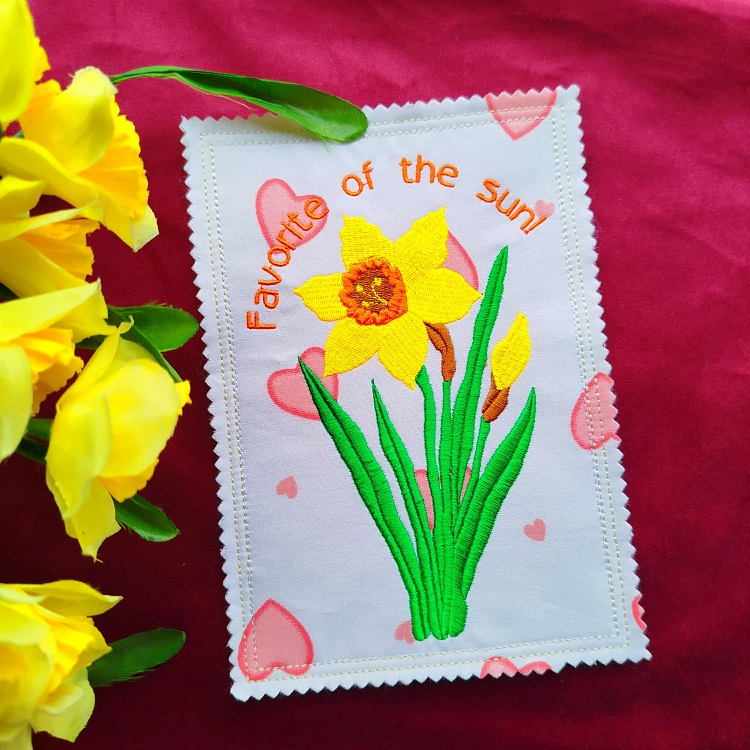 DAFFS-10
