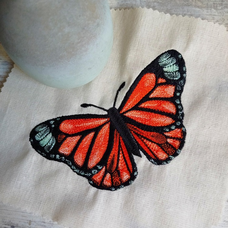 Beautiful Butterflies-10