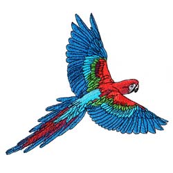 Macaw Drawing 14