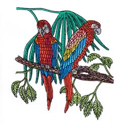 Macaw Drawing 2