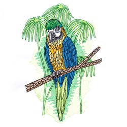 Macaw Drawing 3