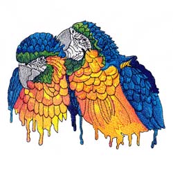Macaw Drawing 4