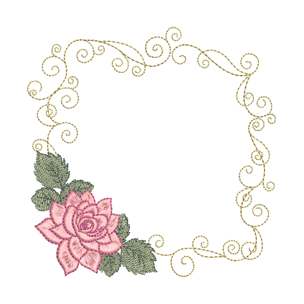 Lotus Flowers Single 5