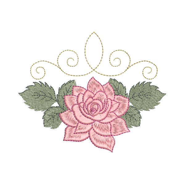 Lotus Flowers Single 6