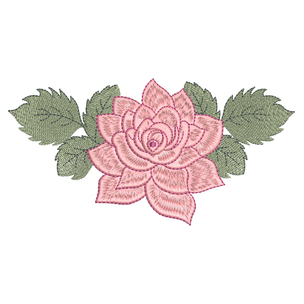 Lotus Flowers Single 8