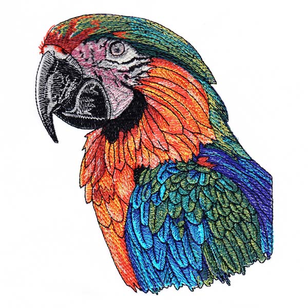 Macaw Drawings Set 1-10
