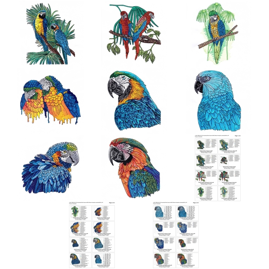 Macaw Drawings Set 1