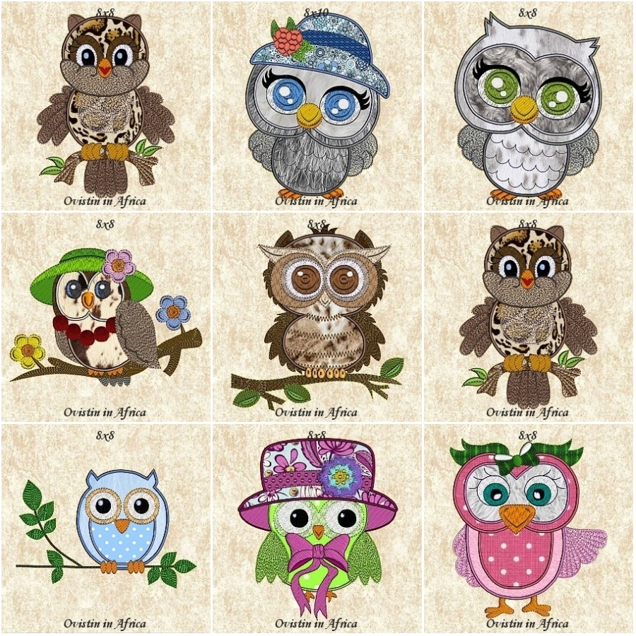 Sassy Owls 8x8  